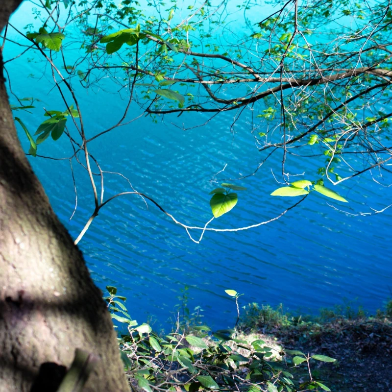 Image hover effect image