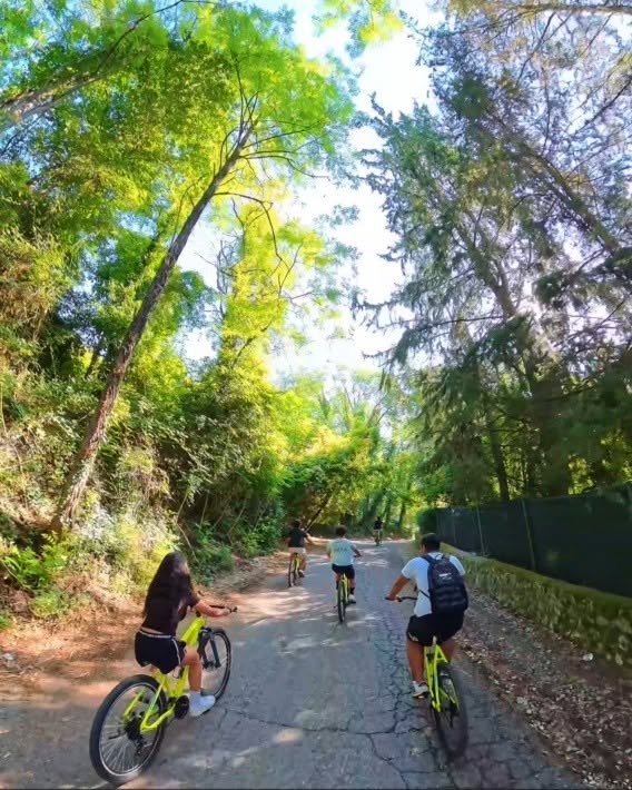 biciclette narni